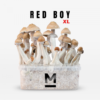 Magic Mushroom Grow Kit Red Boy XL by Mondo®